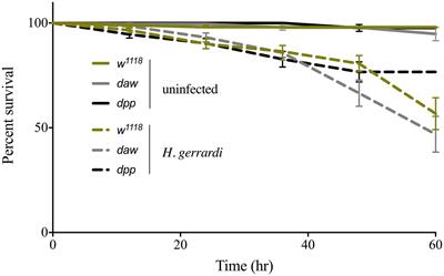 TGF-β Signaling Interferes With the Drosophila Innate Immune and Metabolic Response to Parasitic Nematode Infection